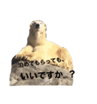 ノアル2（個別スタンプ：10）