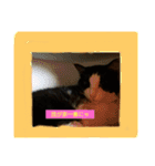 ワンとニャ（個別スタンプ：8）
