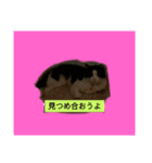 ワンとニャ（個別スタンプ：21）