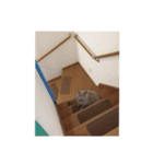 ふぉびぃ2（個別スタンプ：16）