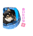モジロンといっしょ♪（個別スタンプ：3）