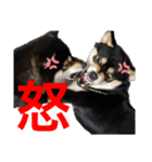 モジロンといっしょ♪（個別スタンプ：8）