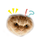 スコネコのきなこ！（個別スタンプ：8）