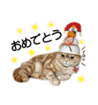 スコネコのきなこ！（個別スタンプ：26）