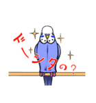 今日のインコ（個別スタンプ：5）