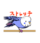 今日のインコ（個別スタンプ：9）