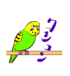 今日のインコ（個別スタンプ：19）