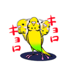 今日のインコ（個別スタンプ：21）