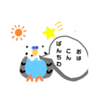 インコ ぴーたん（個別スタンプ：3）