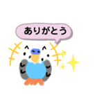 インコ ぴーたん（個別スタンプ：5）