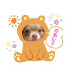 バニチプ♡（個別スタンプ：3）
