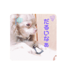 バニチプ♡（個別スタンプ：4）