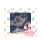 バニチプ♡（個別スタンプ：5）