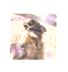 バニチプ♡（個別スタンプ：8）