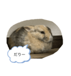 藤田家のリランスタンプ(ミニウサギ)（個別スタンプ：2）