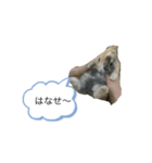 藤田家のリランスタンプ(ミニウサギ)（個別スタンプ：3）
