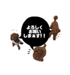 いけがみ家のやんちゃトム（個別スタンプ：15）