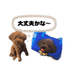 いけがみ家のやんちゃトム（個別スタンプ：18）