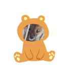 、、、、このメンツしか勝たん（個別スタンプ：6）