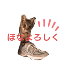 魔性のちっち。甘え上手で気分屋な美猫（個別スタンプ：9）