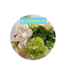 我が家の植物と花達1（個別スタンプ：9）