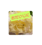 我が家の植物と花達1（個別スタンプ：15）