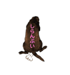 もみじあおいスタンプ2（個別スタンプ：21）