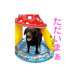 もみじあおいスタンプ2（個別スタンプ：23）