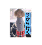 うちのココのスタンプ（個別スタンプ：31）