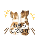 2wins チワワ 3（個別スタンプ：14）