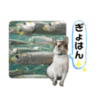 おる君 夏シリーズ（個別スタンプ：1）