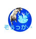 おる君 夏シリーズ（個別スタンプ：4）