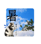 おる君 夏シリーズ（個別スタンプ：10）