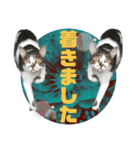 おる君 夏シリーズ（個別スタンプ：15）