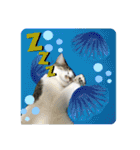 おる君 夏シリーズ（個別スタンプ：22）