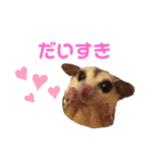 フクロモモンガ  ゆずの日常part1（個別スタンプ：16）