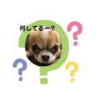 ココソラ（個別スタンプ：2）