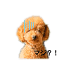 ココソラ（個別スタンプ：4）