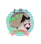ビッきぐるみ(1)（個別スタンプ：8）
