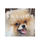 Rin*Rin*Pome2（個別スタンプ：14）