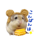 ハム ときどき チンチラ。（個別スタンプ：3）
