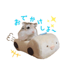 ハム ときどき チンチラ。（個別スタンプ：15）