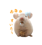 ハム ときどき チンチラ。（個別スタンプ：22）