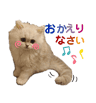 ペルシャ猫みるく様（個別スタンプ：9）