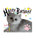 ペルシャ猫みるく様（個別スタンプ：28）