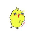 かまってピヨ子（個別スタンプ：1）