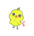 かまってピヨ子（個別スタンプ：2）