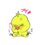 かまってピヨ子（個別スタンプ：6）