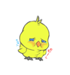 かまってピヨ子（個別スタンプ：7）