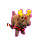 ルチルとモリオン（個別スタンプ：5）